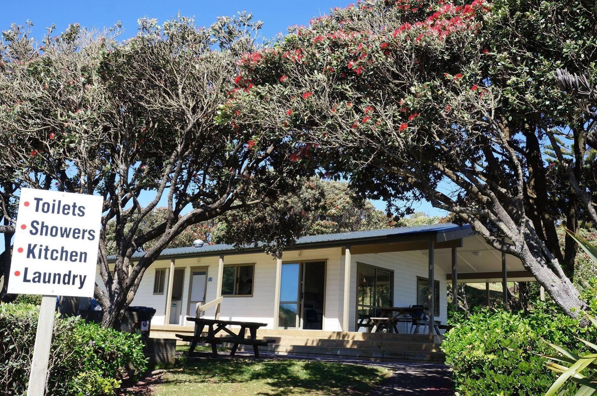 ניו פלימות' Fitzroy Beach Holiday Park מראה חיצוני תמונה