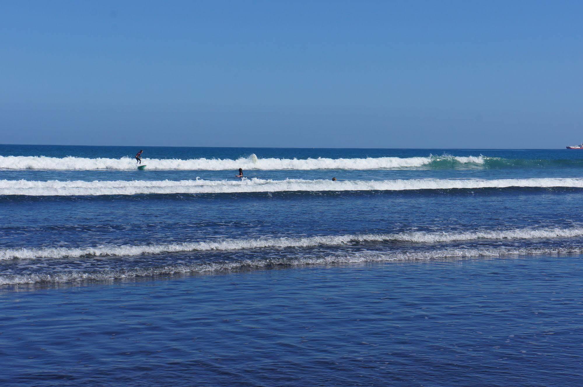 ניו פלימות' Fitzroy Beach Holiday Park מראה חיצוני תמונה